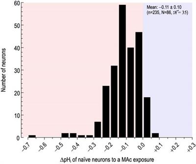 Effects of extracellular metabolic acidosis and out-of-equilibrium CO2/HCO3− solutions on intracellular pH in cultured rat hippocampal neurons